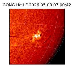 gong - 2026-05-03T07:00:42