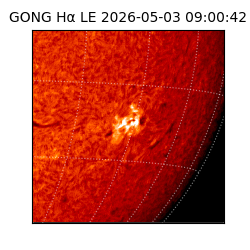 gong - 2026-05-03T09:00:42
