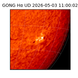 gong - 2026-05-03T11:00:02