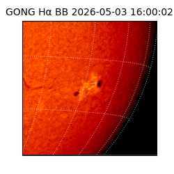 gong - 2026-05-03T16:00:02