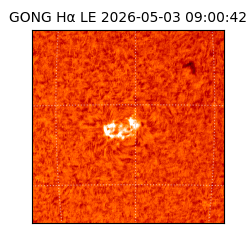 gong - 2026-05-03T09:00:42