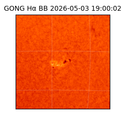 gong - 2026-05-03T19:00:02