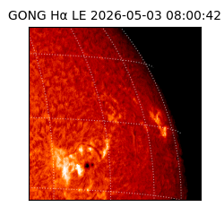 gong - 2026-05-03T08:00:42