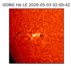gong - 2026-05-03T02:00:42