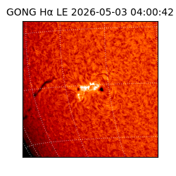 gong - 2026-05-03T04:00:42