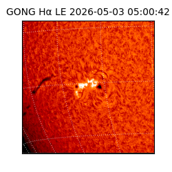 gong - 2026-05-03T05:00:42