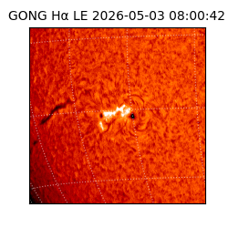 gong - 2026-05-03T08:00:42