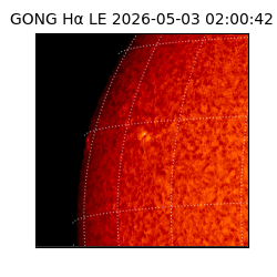 gong - 2026-05-03T02:00:42