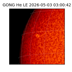 gong - 2026-05-03T03:00:42