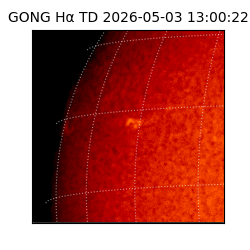 gong - 2026-05-03T13:00:22
