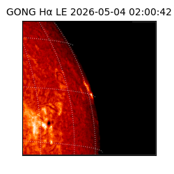 gong - 2026-05-04T02:00:42