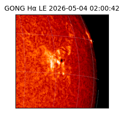 gong - 2026-05-04T02:00:42