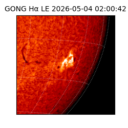 gong - 2026-05-04T02:00:42