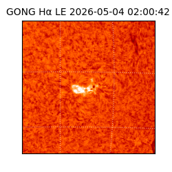 gong - 2026-05-04T02:00:42