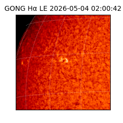 gong - 2026-05-04T02:00:42