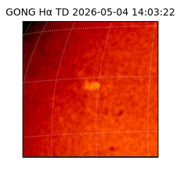 gong - 2026-05-04T14:03:22