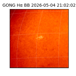 gong - 2026-05-04T21:02:02