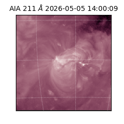 saia - 2026-05-05T14:00:09.624000