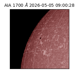 saia - 2026-05-05T09:00:28.717000