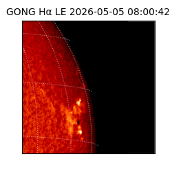 gong - 2026-05-05T08:00:42