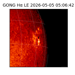 gong - 2026-05-05T05:06:42
