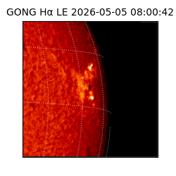 gong - 2026-05-05T08:00:42