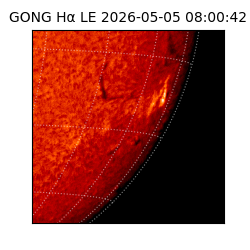 gong - 2026-05-05T08:00:42