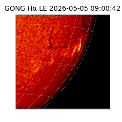 gong - 2026-05-05T09:00:42