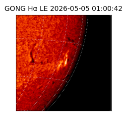 gong - 2026-05-05T01:00:42
