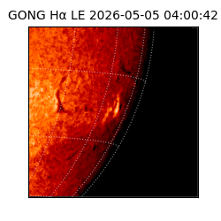 gong - 2026-05-05T04:00:42