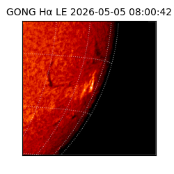 gong - 2026-05-05T08:00:42