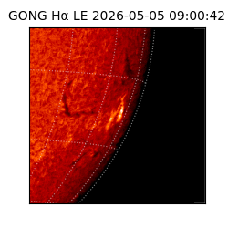 gong - 2026-05-05T09:00:42