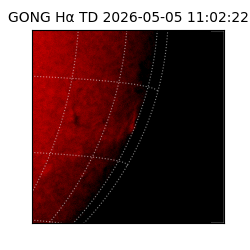 gong - 2026-05-05T11:02:22