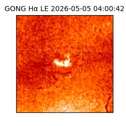 gong - 2026-05-05T04:00:42