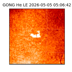 gong - 2026-05-05T05:06:42