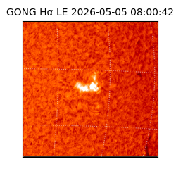 gong - 2026-05-05T08:00:42