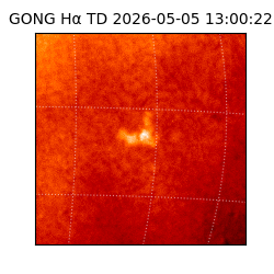gong - 2026-05-05T13:00:22