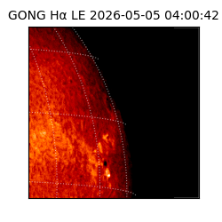 gong - 2026-05-05T04:00:42