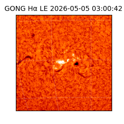 gong - 2026-05-05T03:00:42