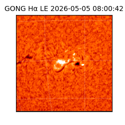 gong - 2026-05-05T08:00:42