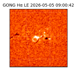 gong - 2026-05-05T09:00:42