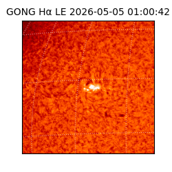gong - 2026-05-05T01:00:42