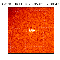 gong - 2026-05-05T02:00:42