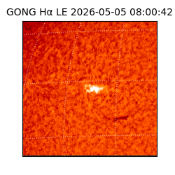 gong - 2026-05-05T08:00:42