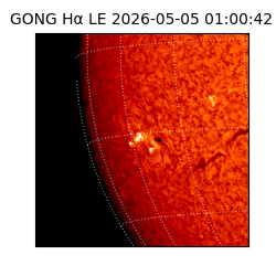 gong - 2026-05-05T01:00:42