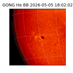 gong - 2026-05-05T18:02:02