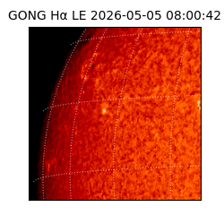 gong - 2026-05-05T08:00:42