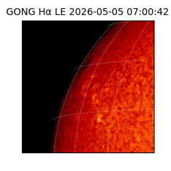 gong - 2026-05-05T07:00:42