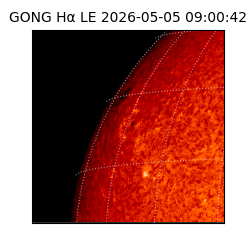gong - 2026-05-05T09:00:42