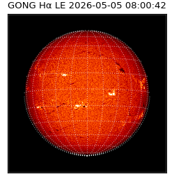 gong - 2026-05-05T08:00:42